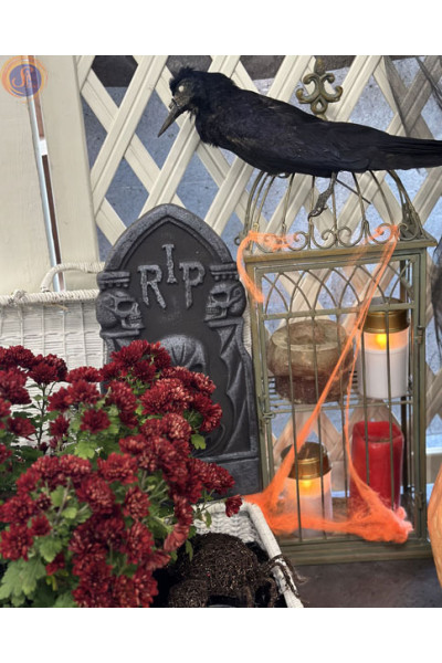 «Halloween BOO»