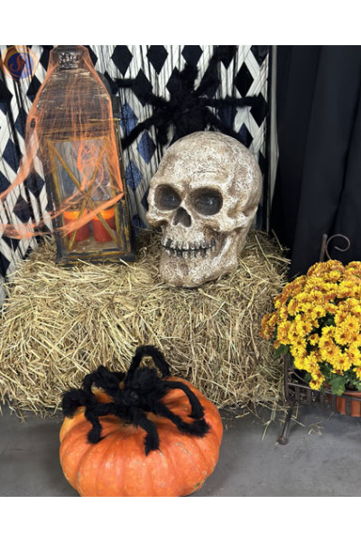 «Halloween BOO»