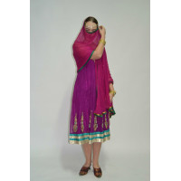 Індійський костюм 1