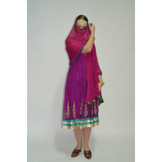 Індійський костюм 1