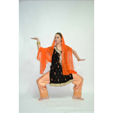 Індійський костюм 7