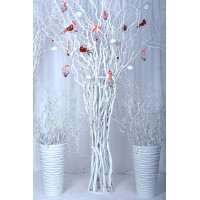 Дерево біле декоративне