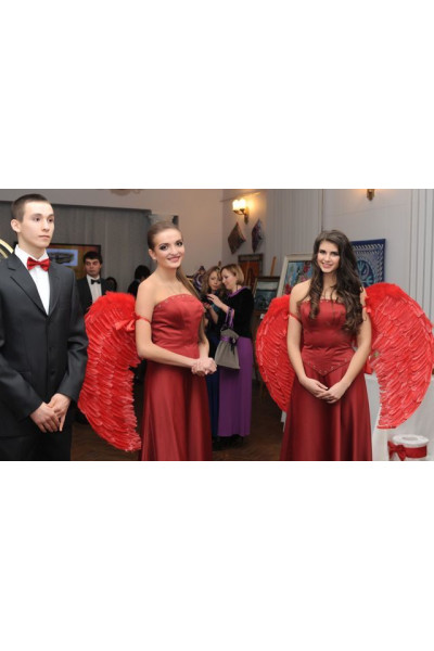 Крила великі червоні