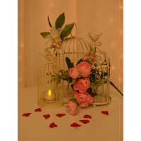 Клітки білі декоративні