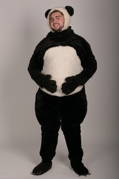 Панда ростова 