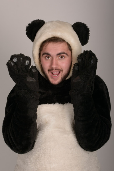 Панда ростова 