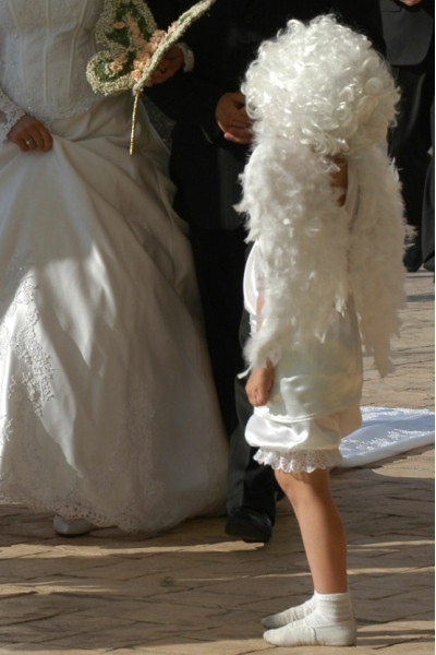 Крила маленькі білі