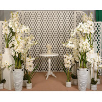 Поляна орхидей