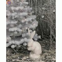 Заєць декоративний