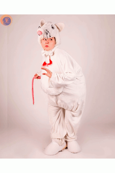 Пацюк білий 