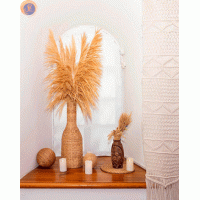 Пампасна трава