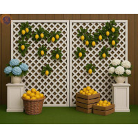 Фотозона «Лимонна»