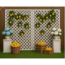 Фотозона «Лимонна»