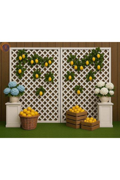 Фотозона «Лимонна»