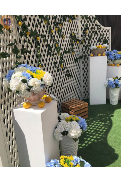 Фотозона «Лимонна»