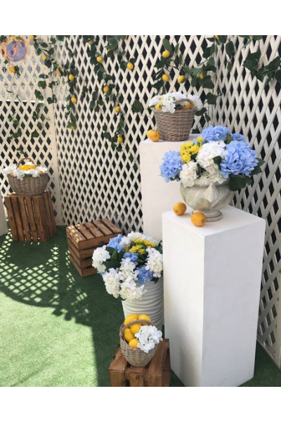 Фотозона «Лимонна»