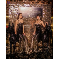 Фотозона Black dogs