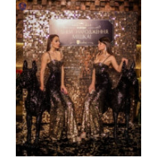 Фотозона Black dogs