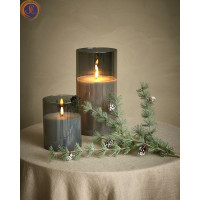 Гілки сосни