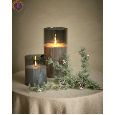 Гілки сосни