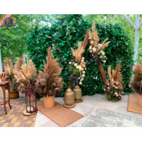 ФОТОЗОНА «GREEN BOHO»