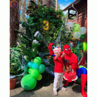 Стінка «Екзотика» маленька