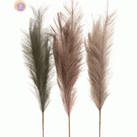 Штучний пампас