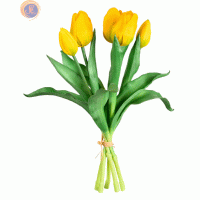 Жовті тюльпани