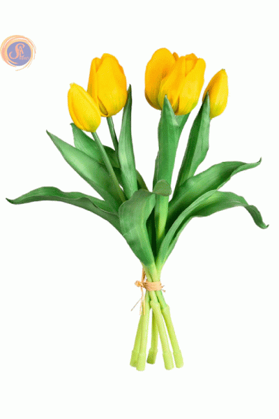 Жовті тюльпани