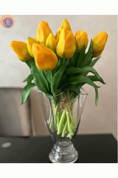 Жовті тюльпани