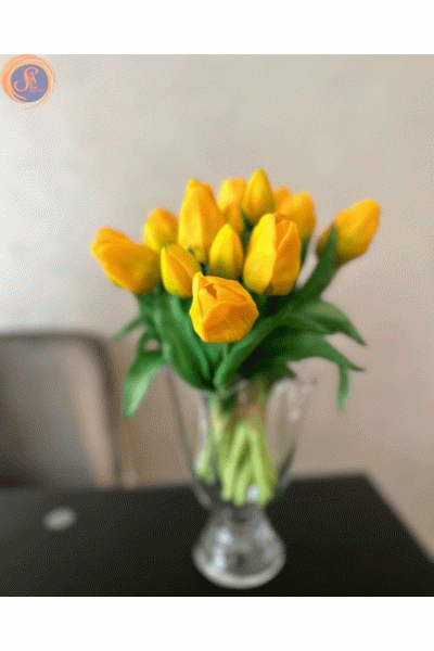 Жовті тюльпани