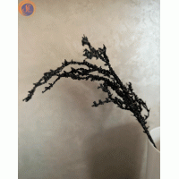 Гілки декоративні чорні