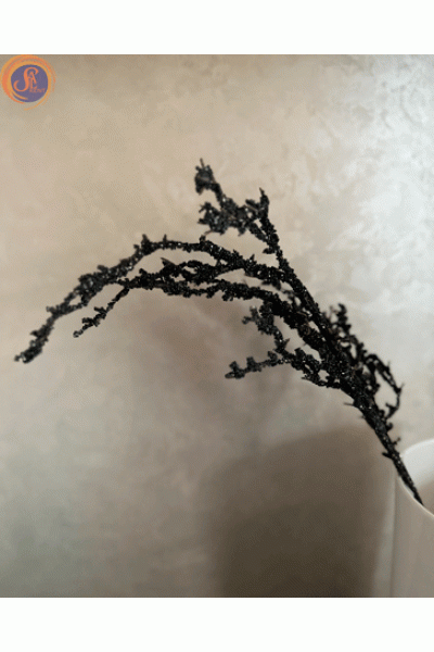 Гілки декоративні чорні