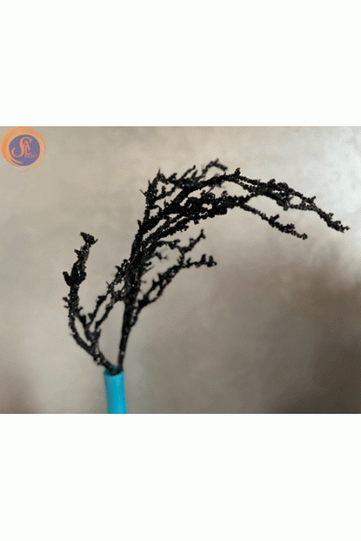 Гілки декоративні чорні