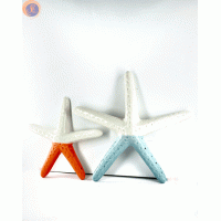 Морські зірки