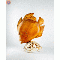 Рифова рибка