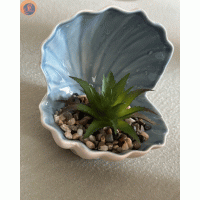 Декоративна мушля