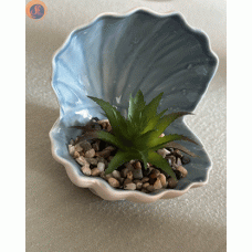 Декоративна мушля