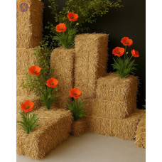 «Запах сіна і пелюсток»