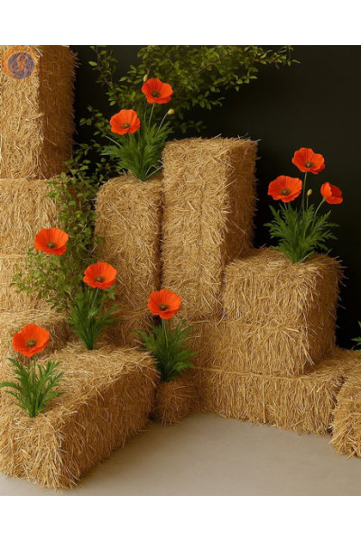 «Запах сіна і пелюсток»