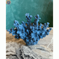 Декоративні корали