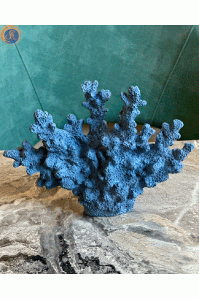 Декоративні корали