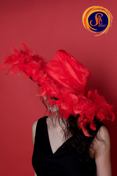 Шляпа с перьями