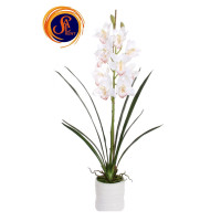 Орхідея Цимбідіум (90 см)