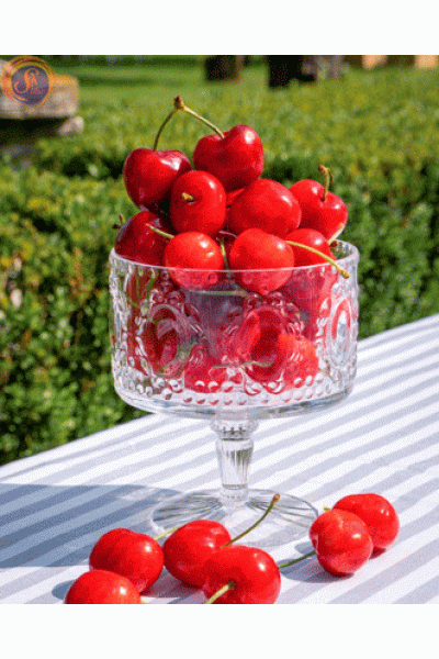 Бісквітниці Barocco