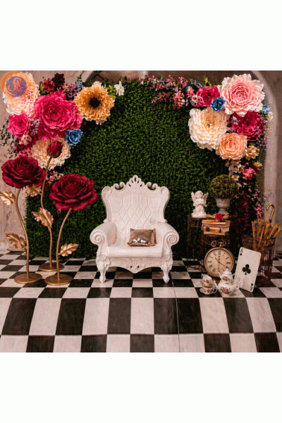 "Аліса в країні мрій"