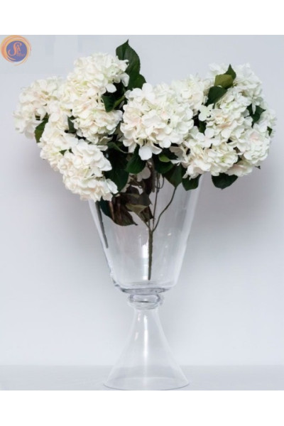 Гортензія біла кущ