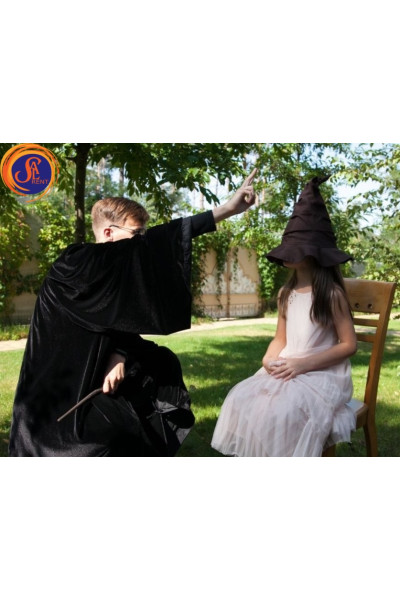 Розподільча шляпа