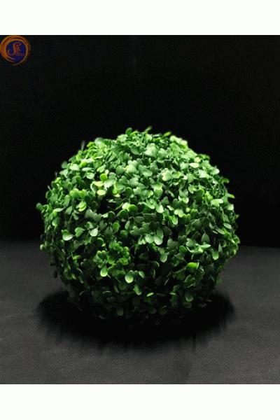 Кущ самшиту