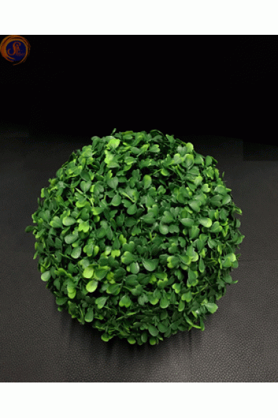 Кущ самшиту